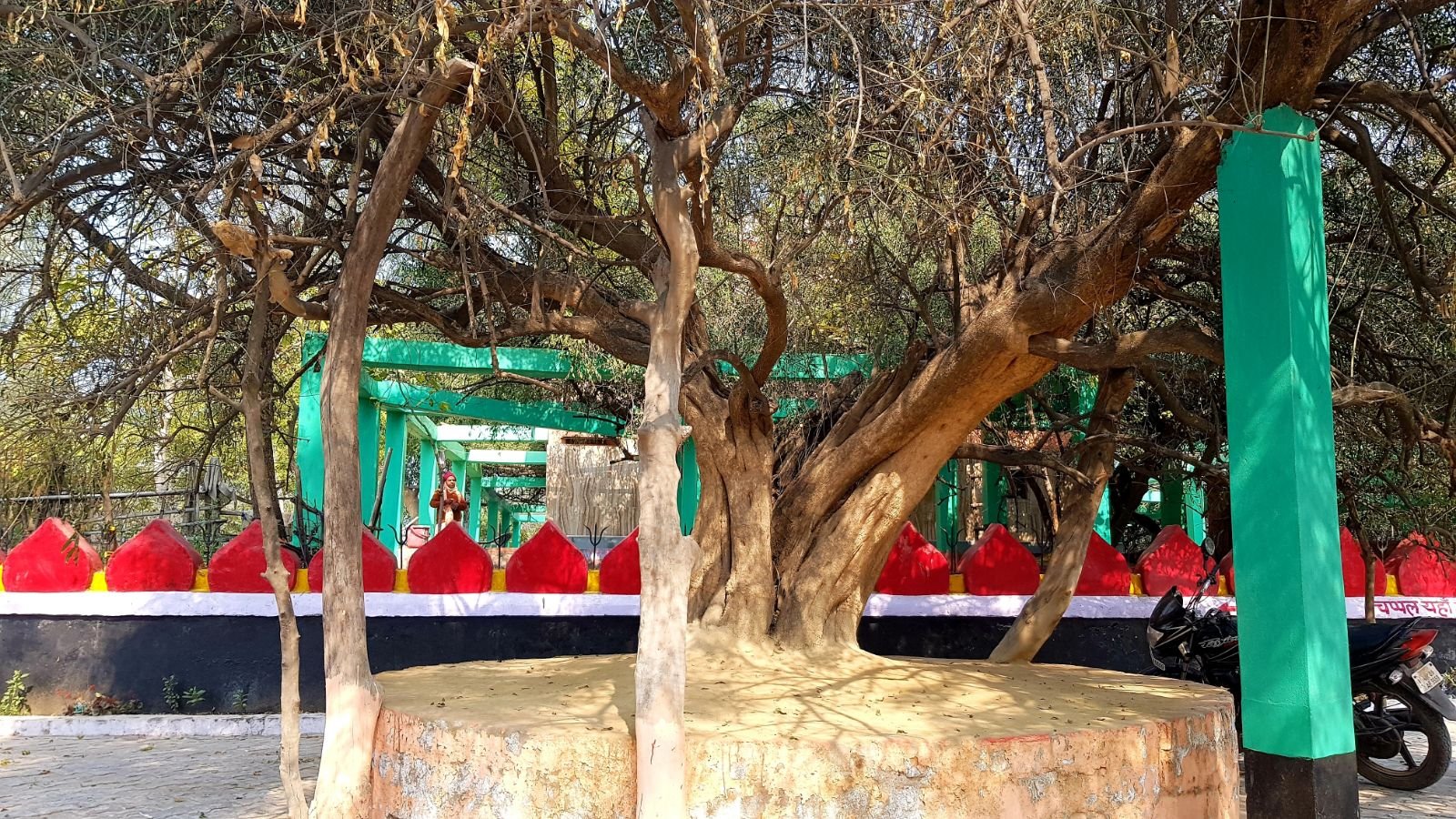 4 ter kadamba 2020 02 091