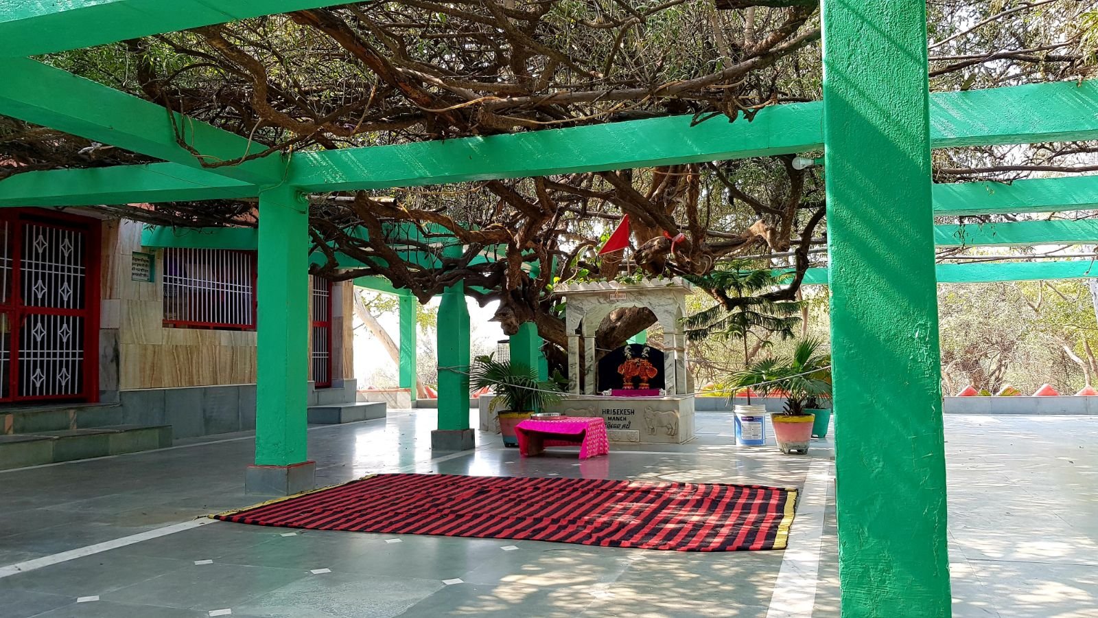 7 ter kadamba 2020 02 091