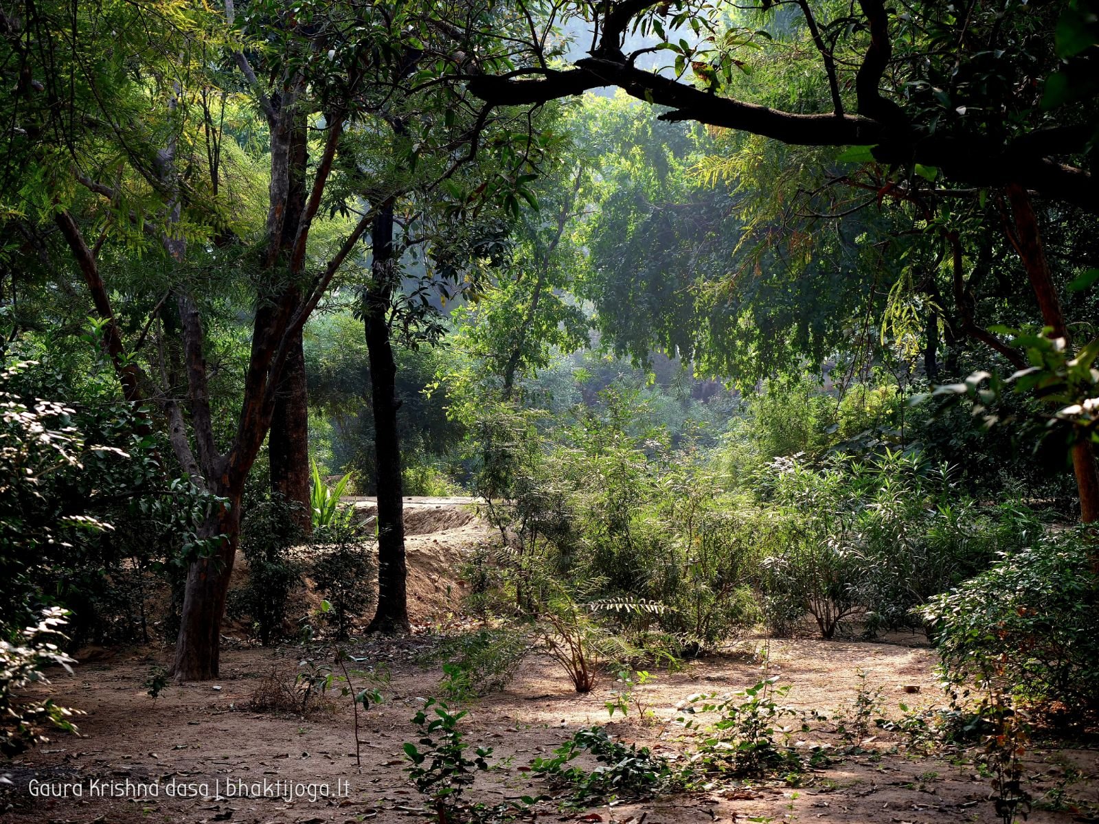 12 krishnas garden varshana 2019 12 10