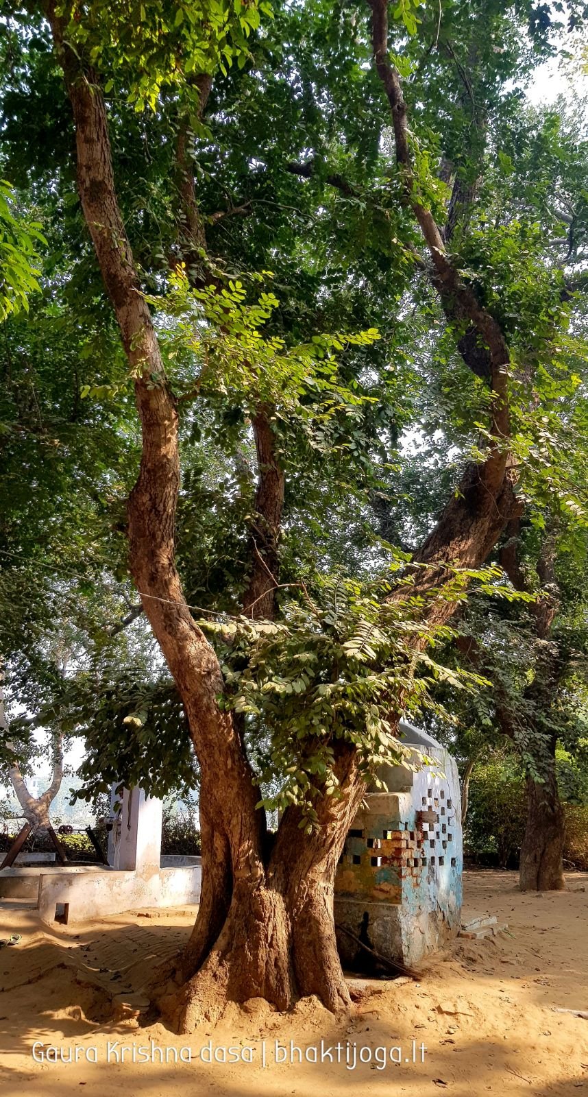 18 krishnas garden varshana 2019 12 10