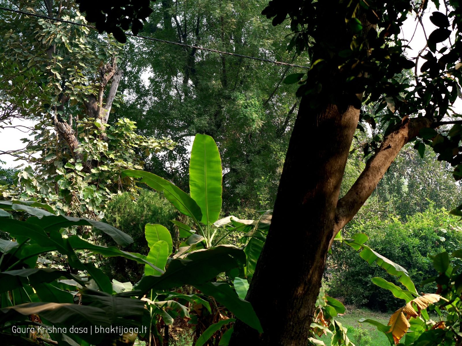 4 krishnas garden varshana 2019 12 10