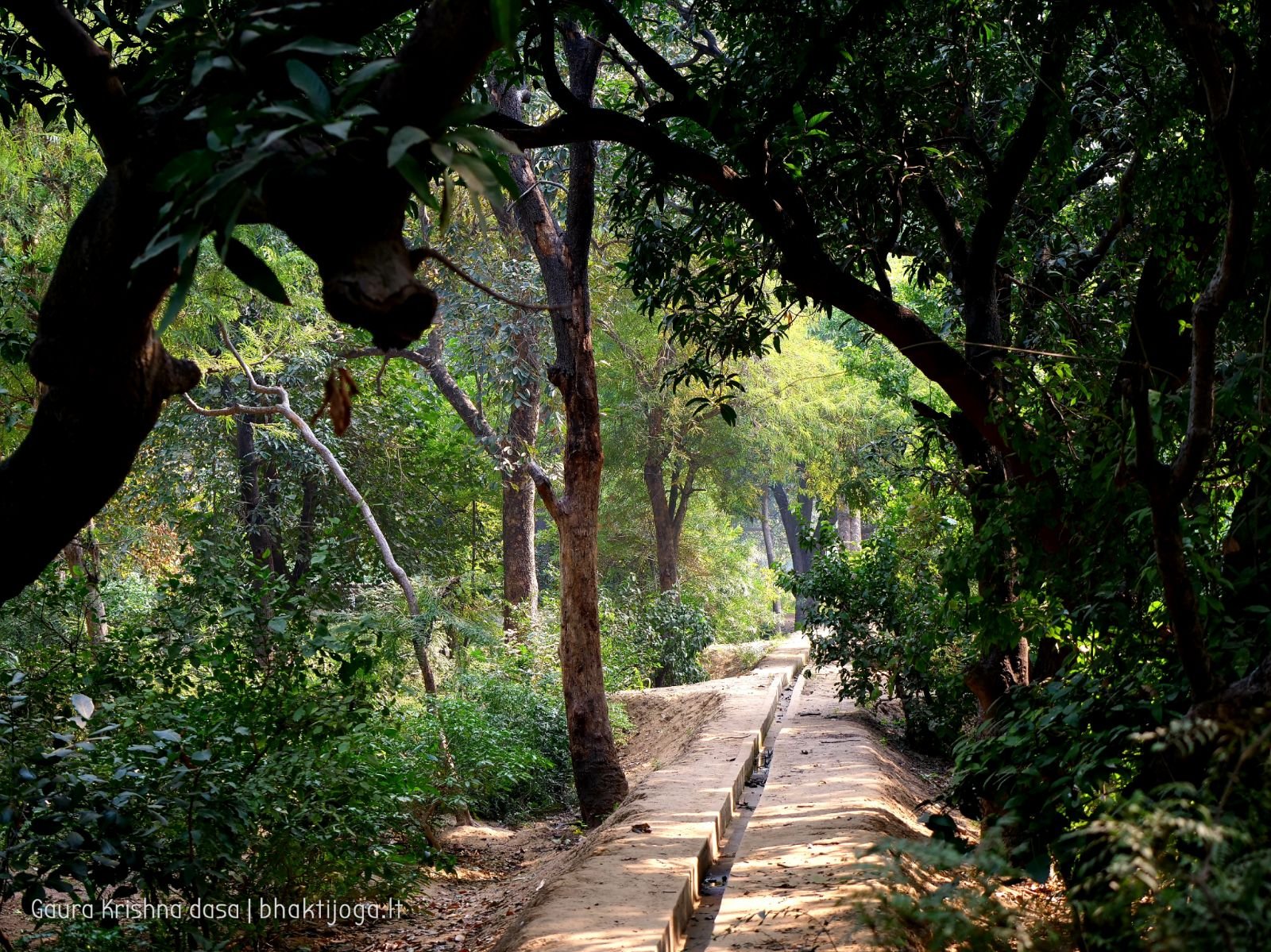 5 krishnas garden varshana 2019 12 10