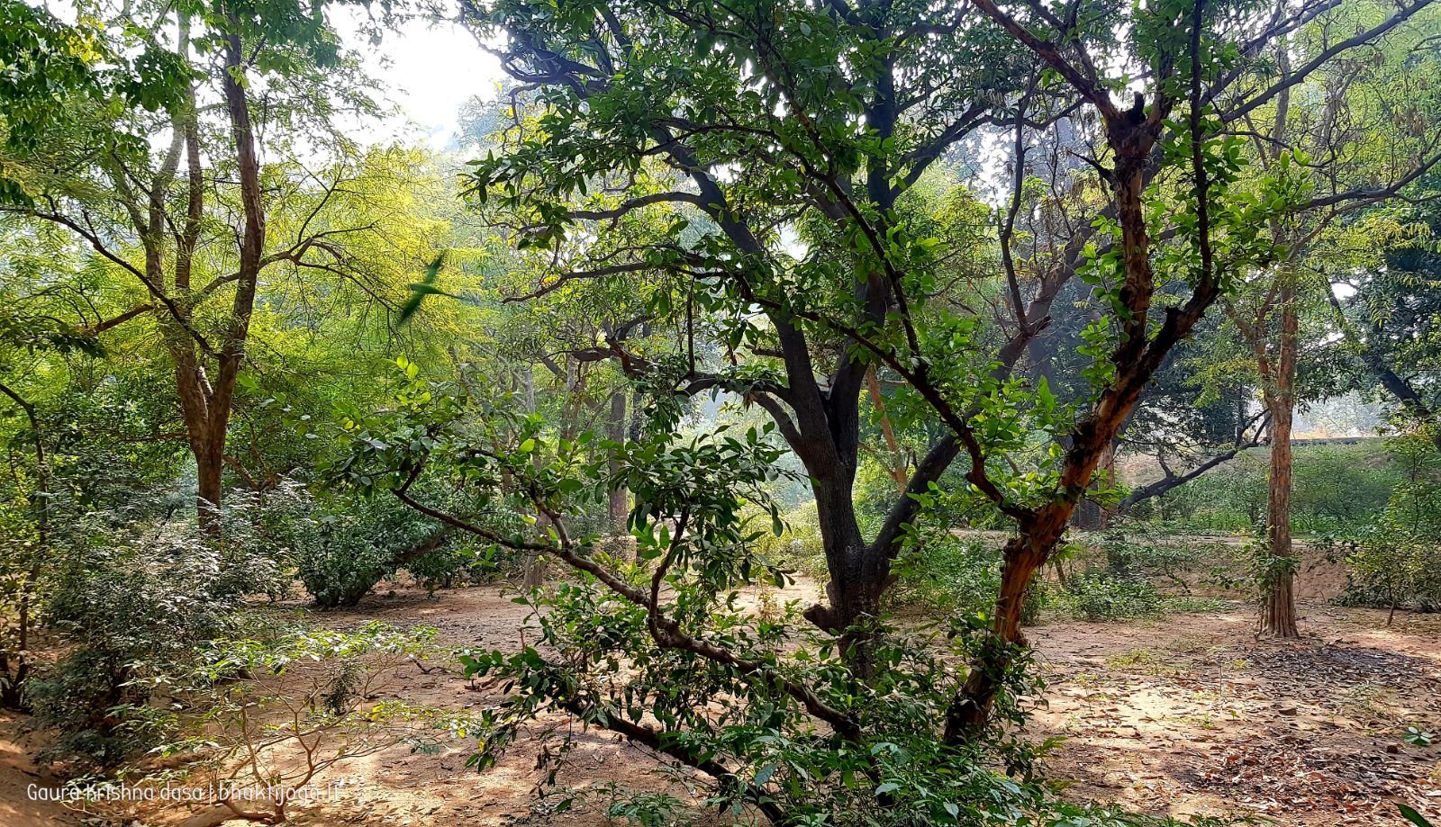 6 krishnas garden varshana 2019 12 10