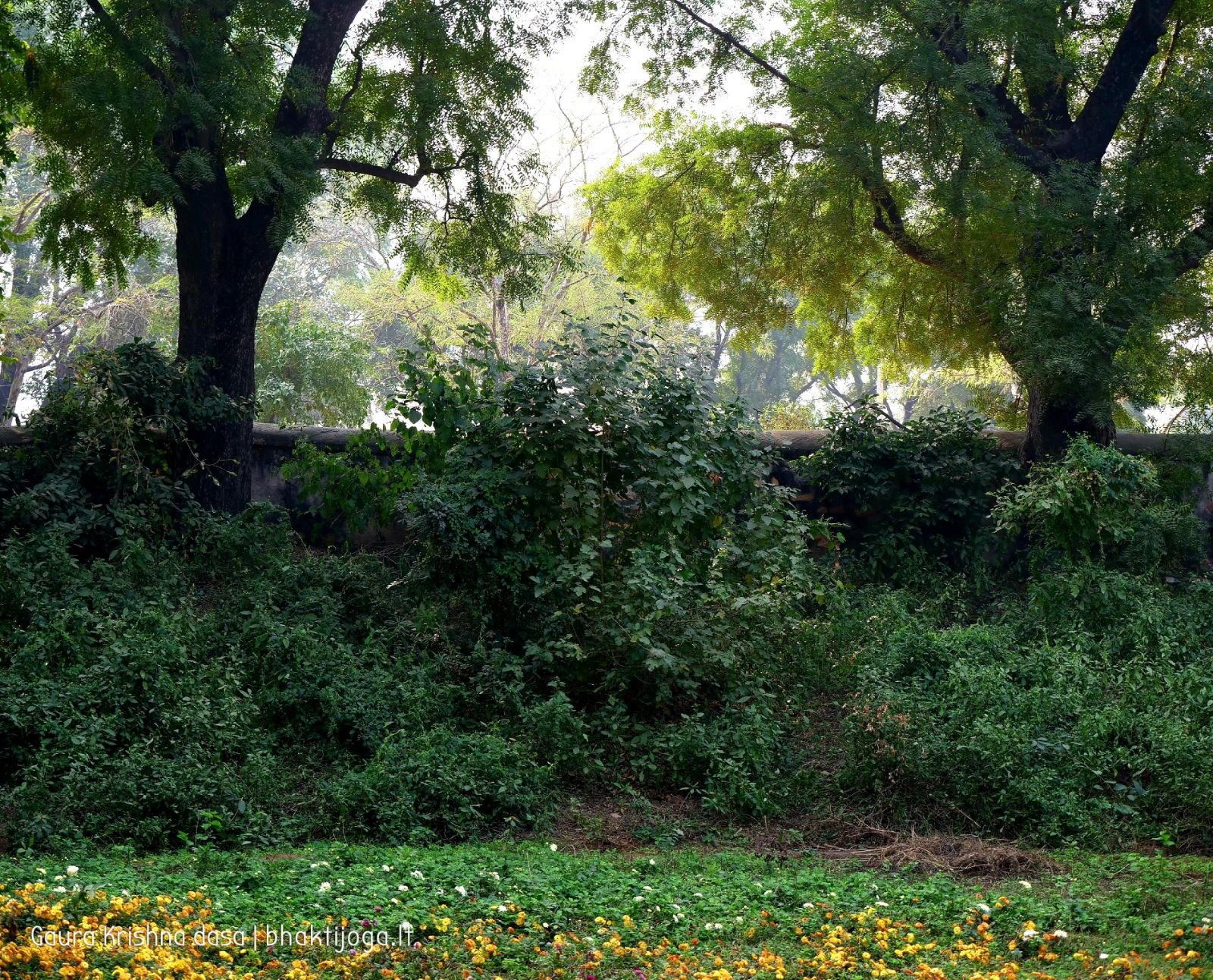 7 krishnas garden varshana 2019 12 10