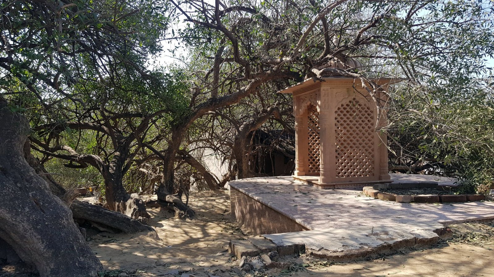 3 kisori kisorananda das babaji bhajan place varshana 2020 01 24