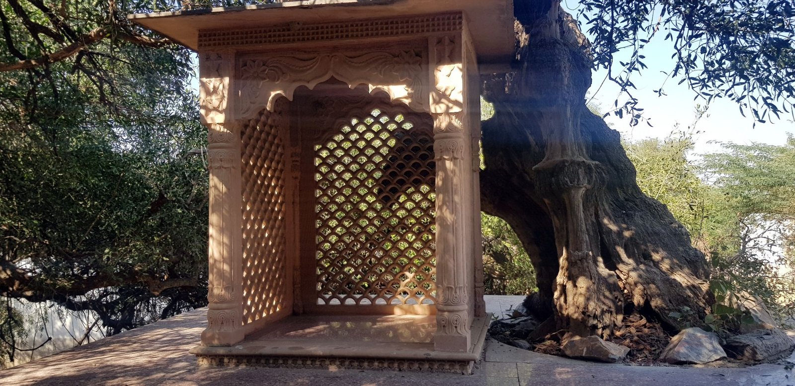 4 kisori kisorananda das babaji bhajan place varshana 2020 01 24