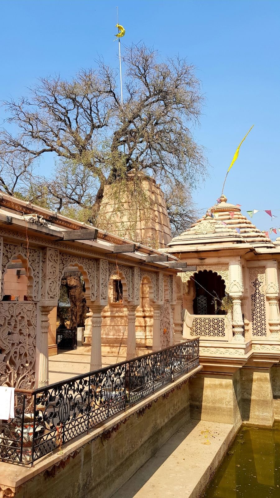 3 vrinda kunda 2020 02 09