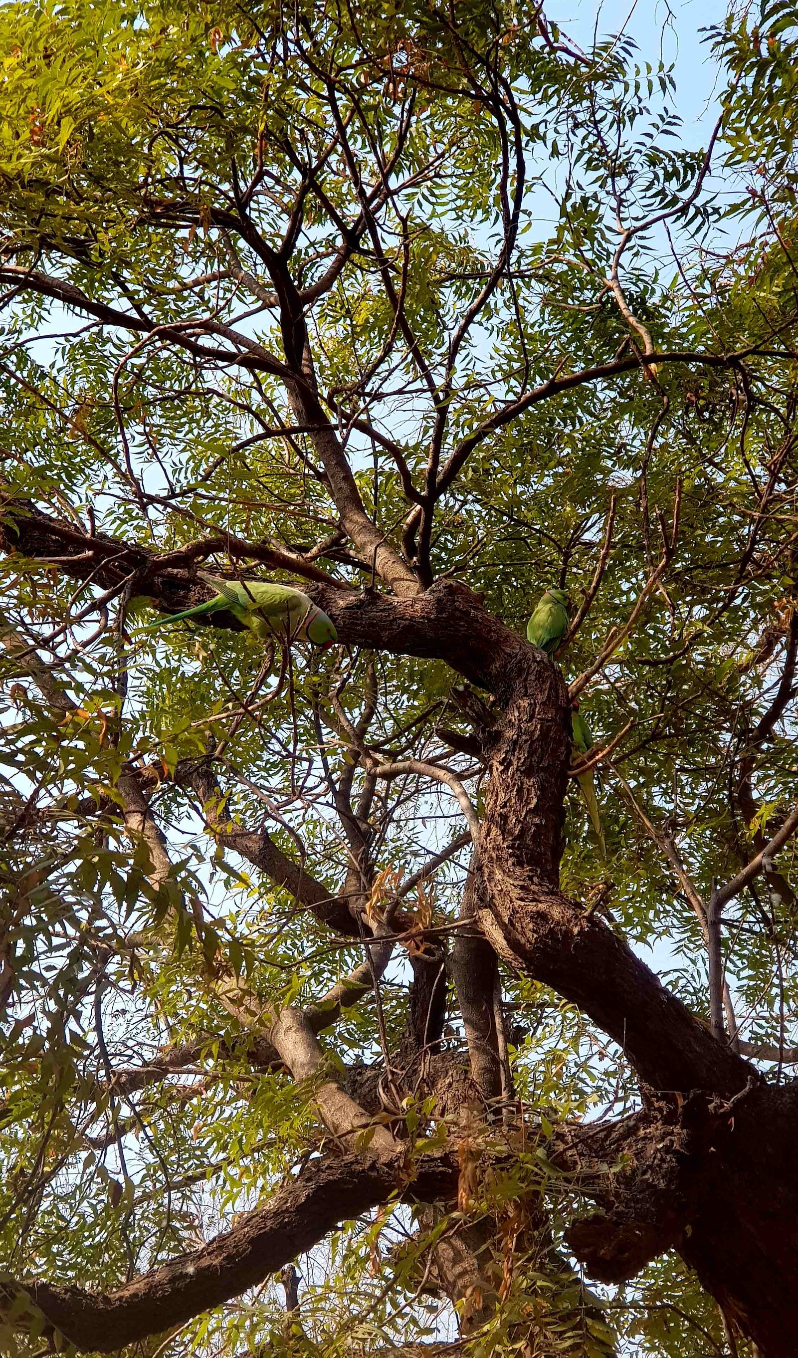 111 vrinda kunda 2020 02 09