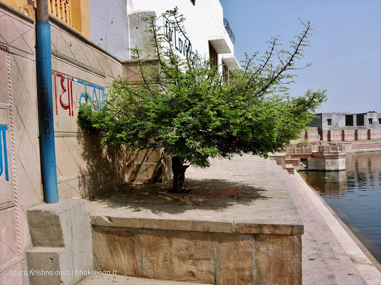 119 radha kunda 2018