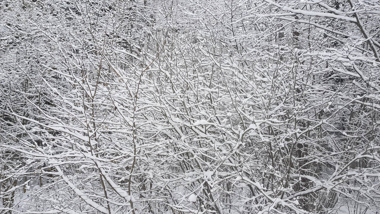 Radhos ir krisnos keliai keleliai nezinomi degimai 2021 01 10