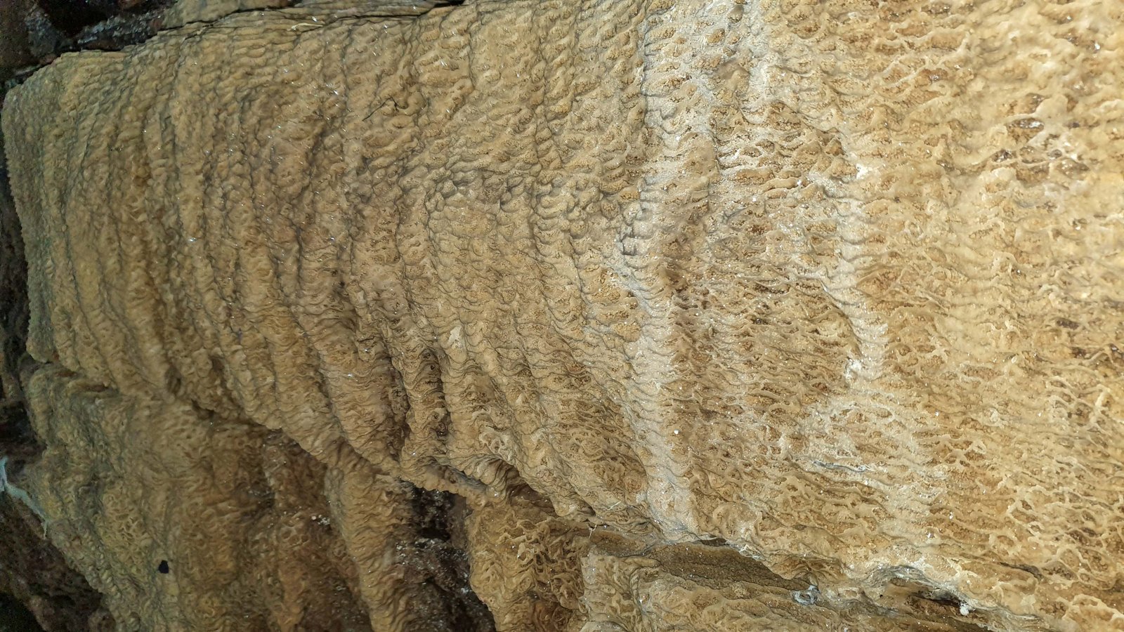 13 gupteshwara cave pokhara nepal 2023 12 30